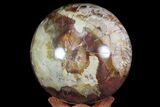 Bargain, Colorful Petrified Wood Sphere - Madagascar #71431-2